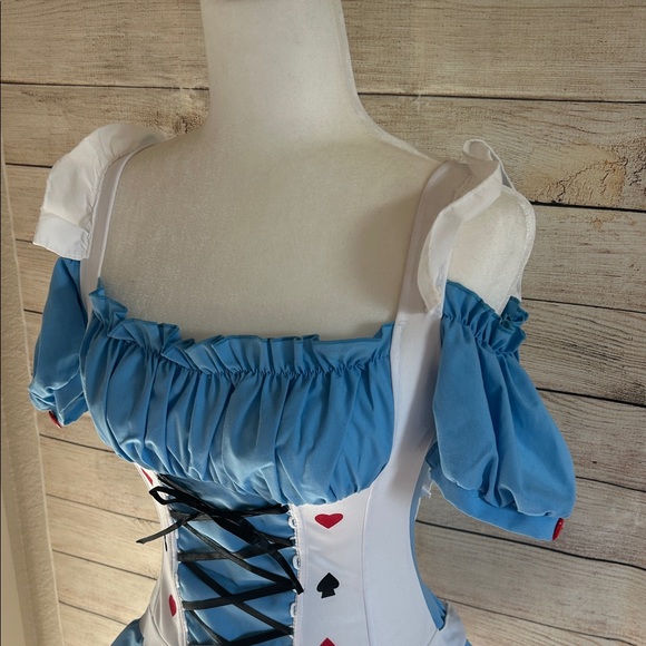 Alice in Wonderland Costume - Picture 2 of 4